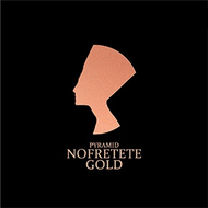 Струны для электрогитары Pyramid Nofretete NOF11 11-48