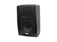 Активная акустическая система, 300Вт, Biema B2-110-power 