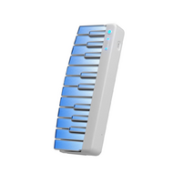 Клавишный модуль для гитарного синтезатора Cyber-G, белый, Enya Cyber-G-Keyboard-module/WH 